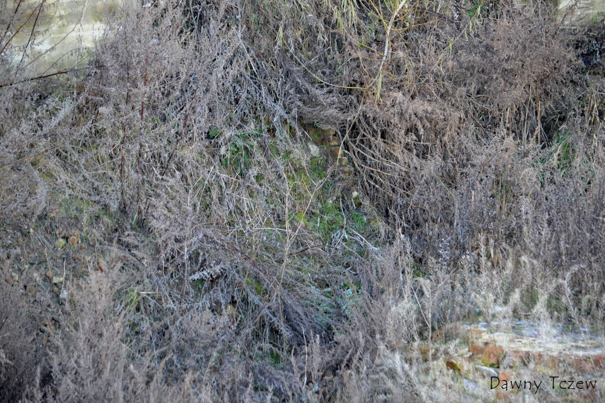 DSC_5415.jpg