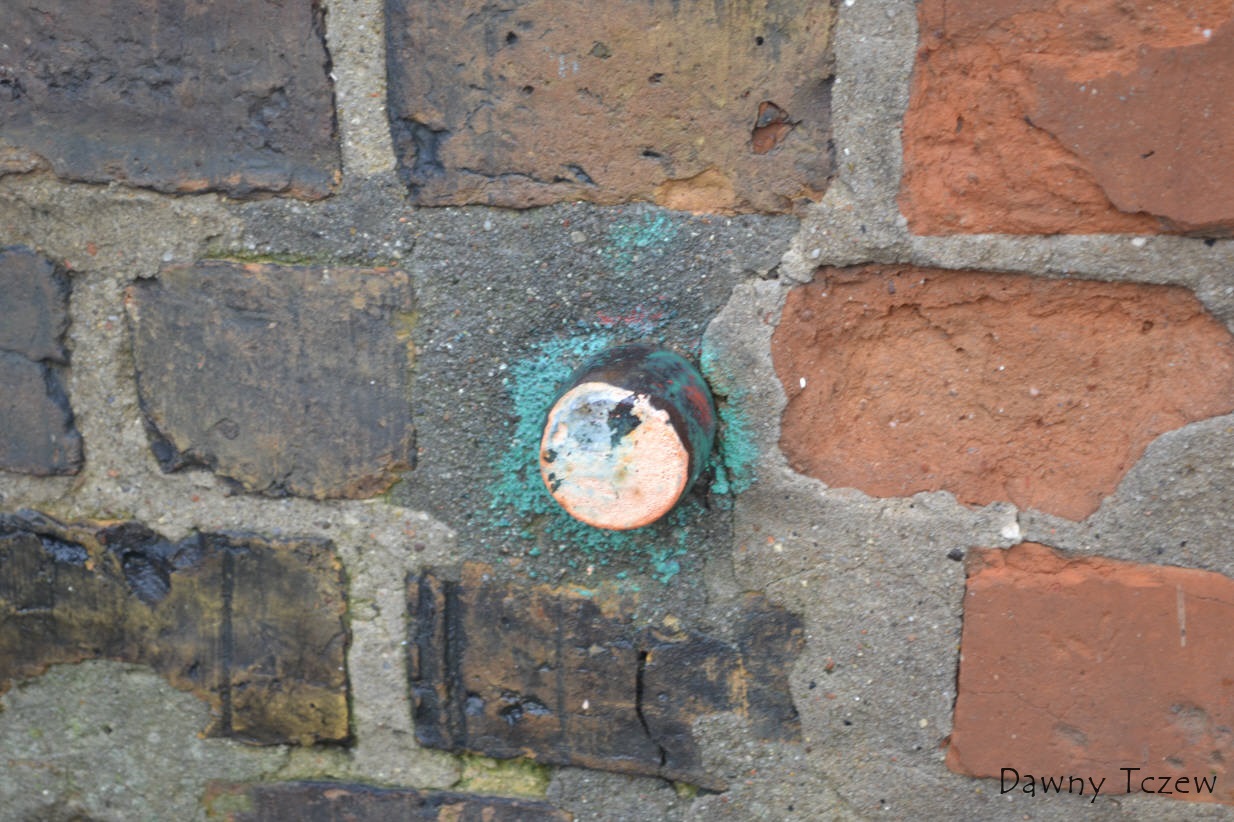 DSC_7147.jpg
