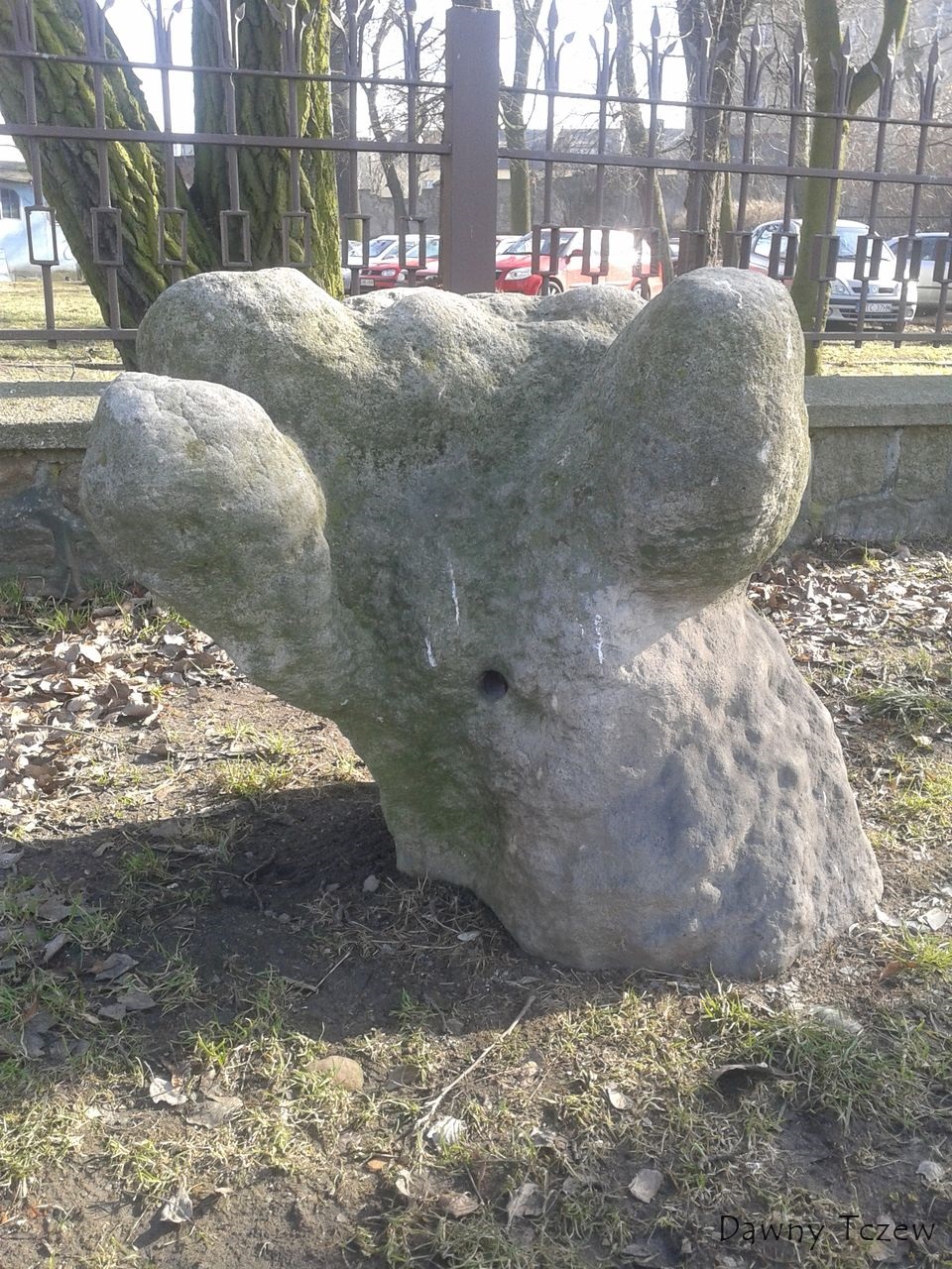 miś.jpg