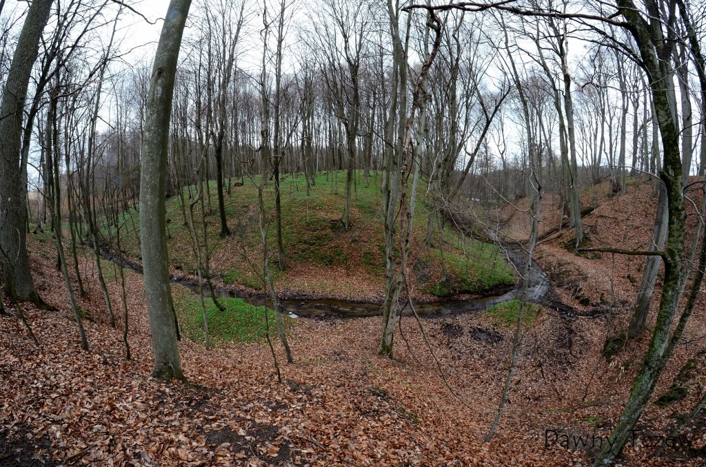 DSC_7299.JPG