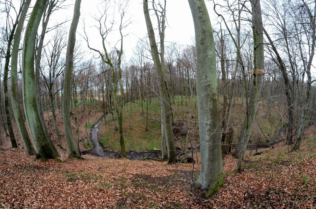 DSC_7301.JPG