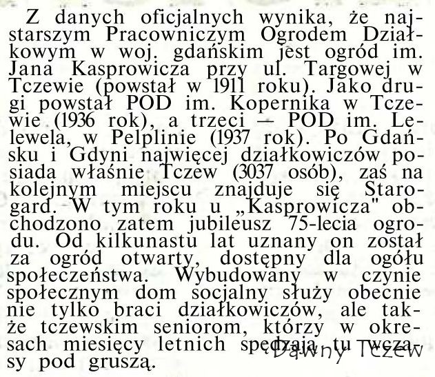 Działki.jpg