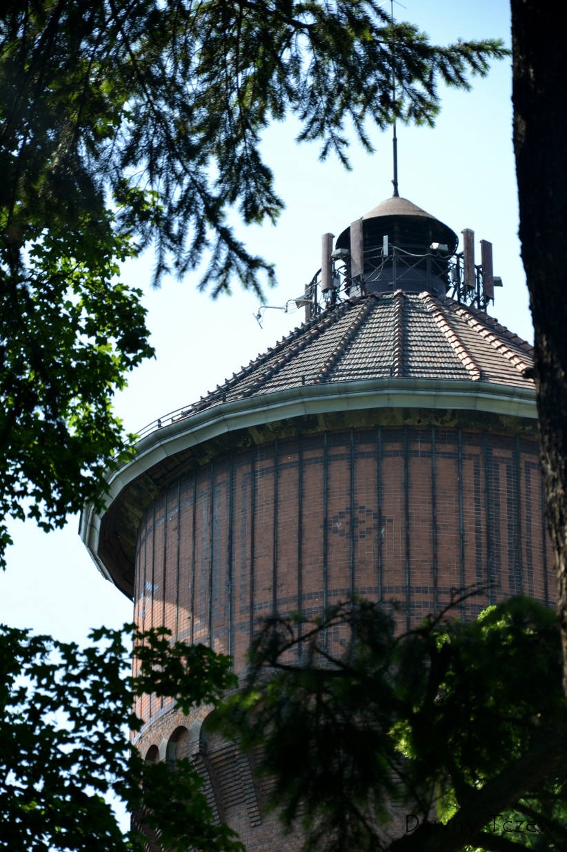 _SC_5677.jpg