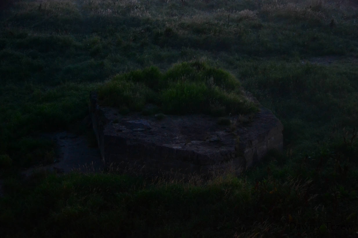 DSC_9027.jpg