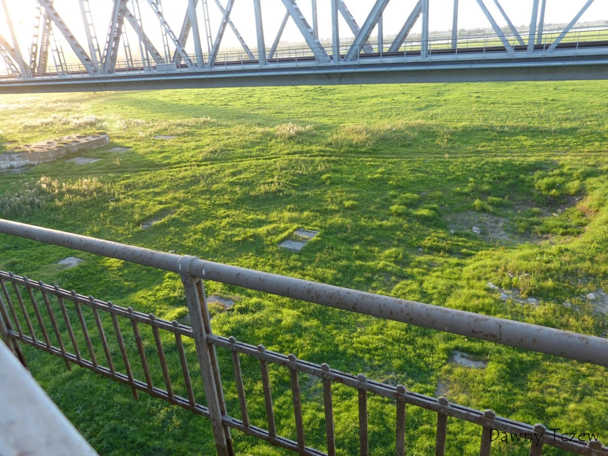 P1130667.jpg