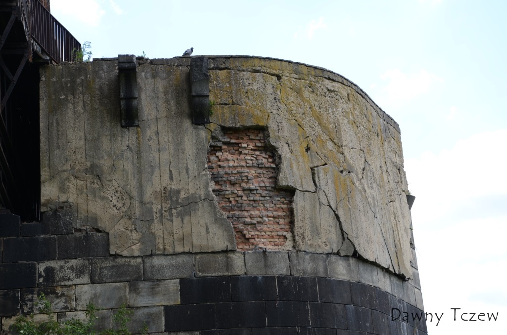 DSC_9098.JPG