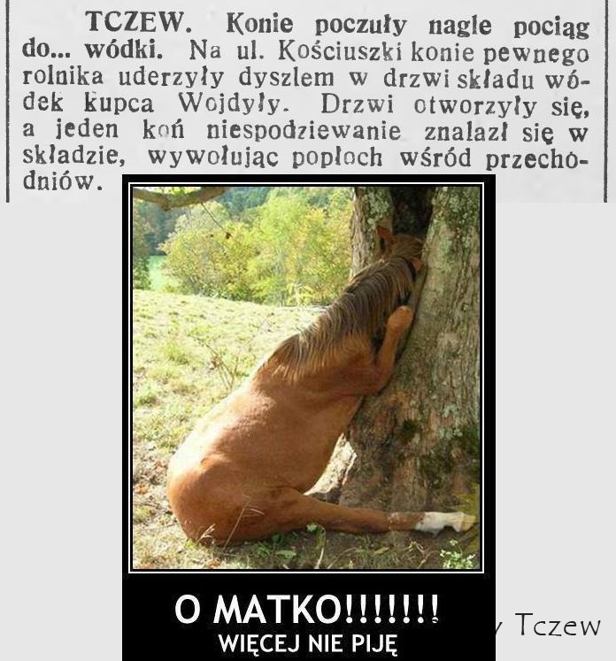 Gazeta Sępoleńska 26 10 1938.JPG