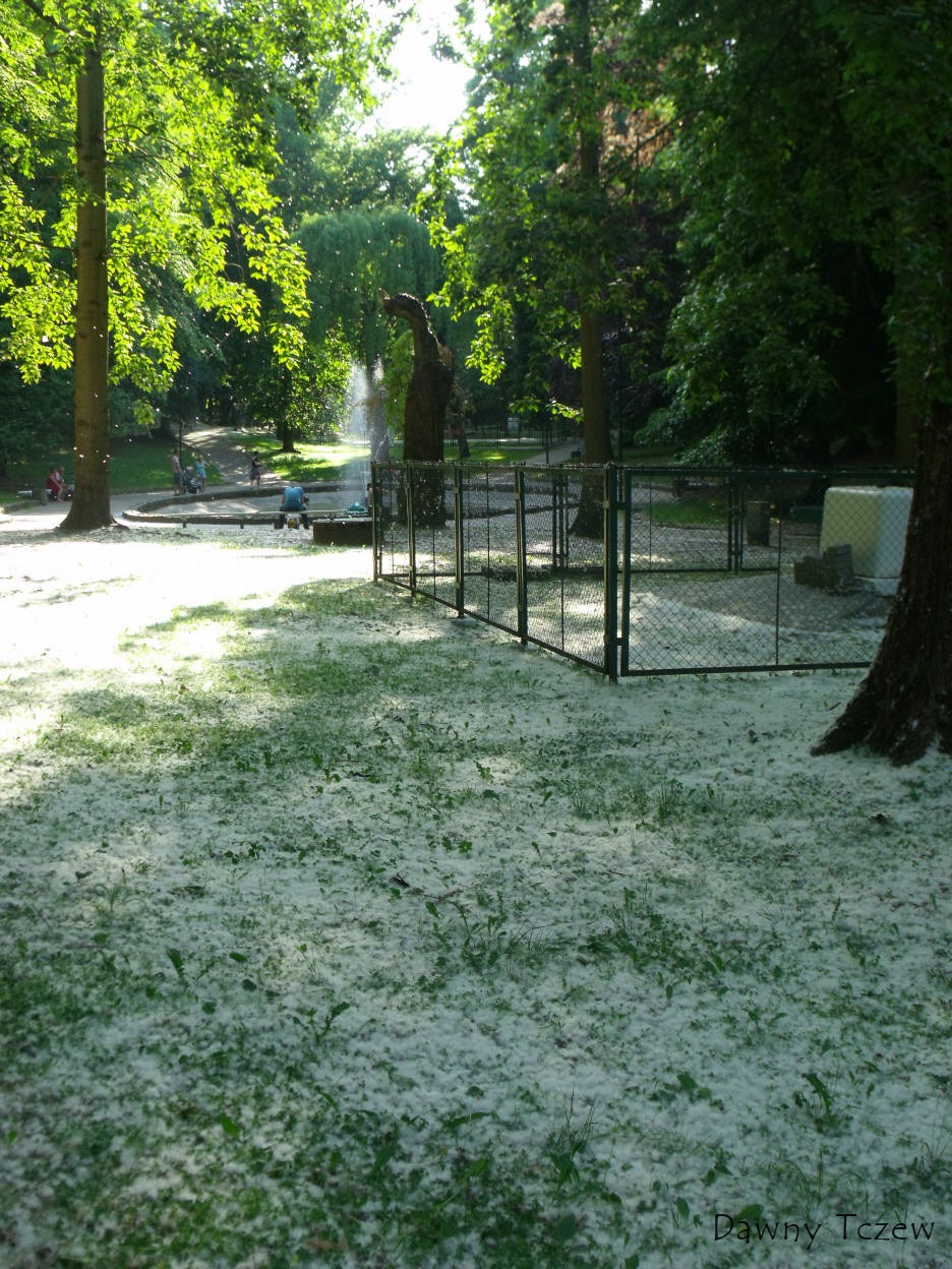 DSCF3508.jpg