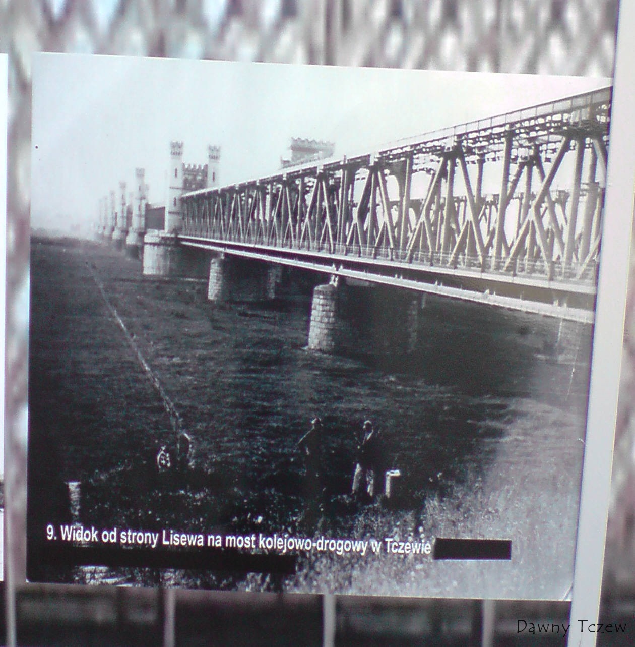 P220611_15.49[02].JPG