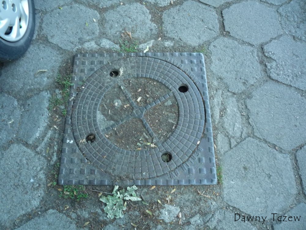 zielona.jpg