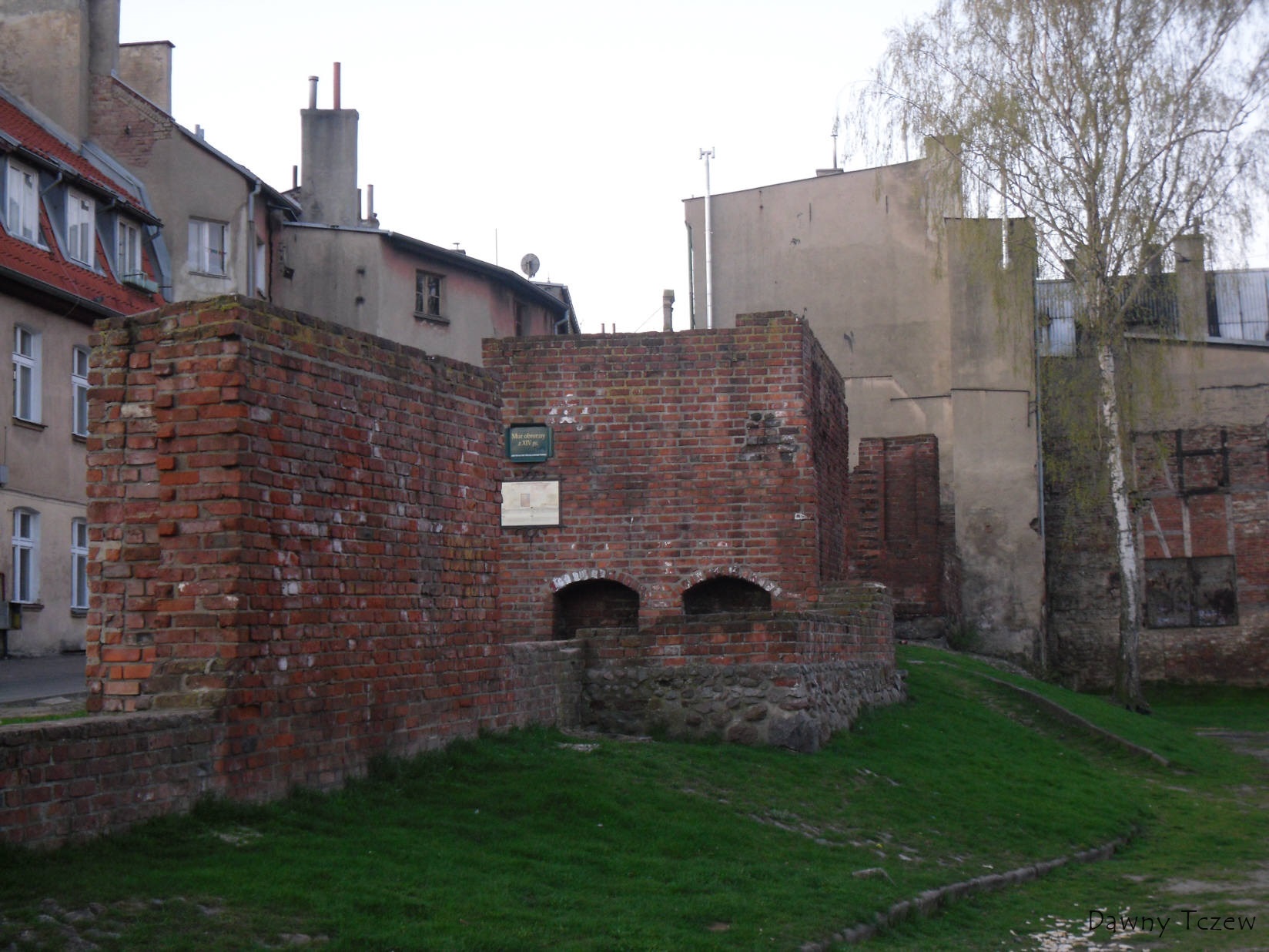 SDC10899.jpg