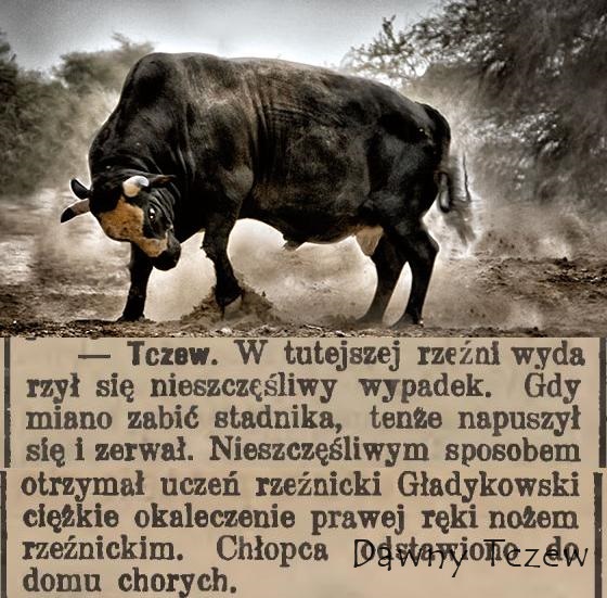 Gazeta Toruńska 23 lipca 1909.JPG