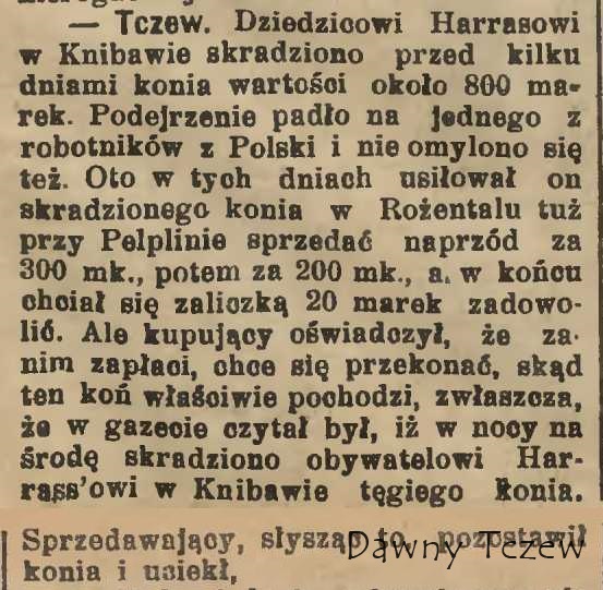 Gazeta Toruńska 1904%2C nr 247.jpeg