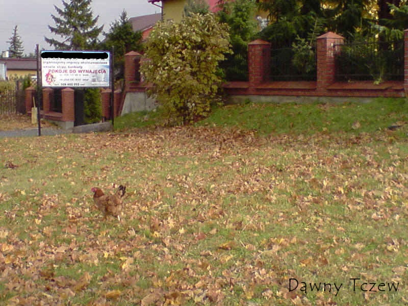 P261010_14.09[01].JPG