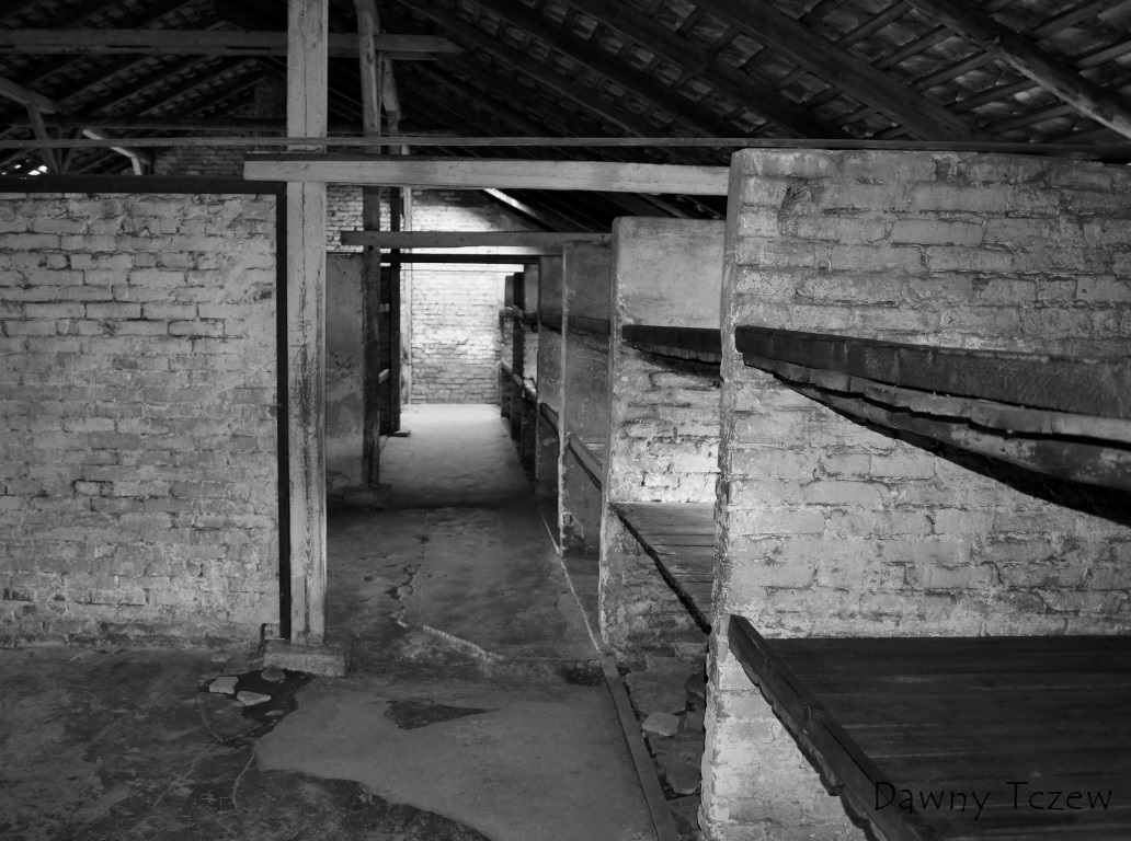 DSC00439 (2) (Medium).JPG