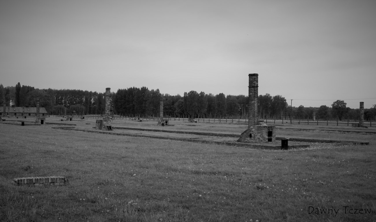 DSC00429 (2) (Medium).JPG