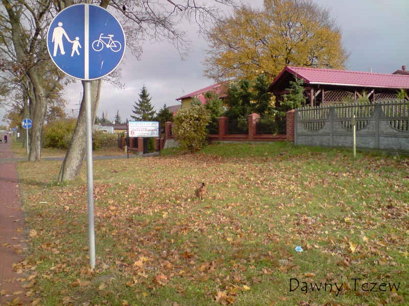 P261010_14.09.JPG