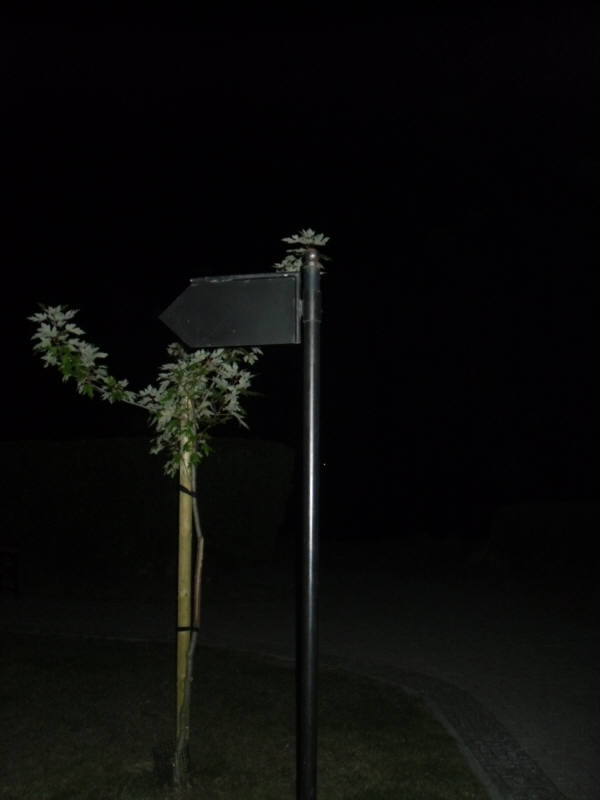 SDC14428.jpg