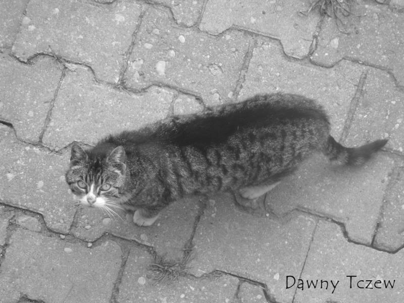 DSCF3776.jpg