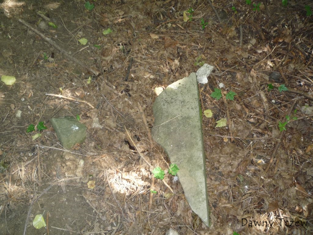 fragment 2.jpg