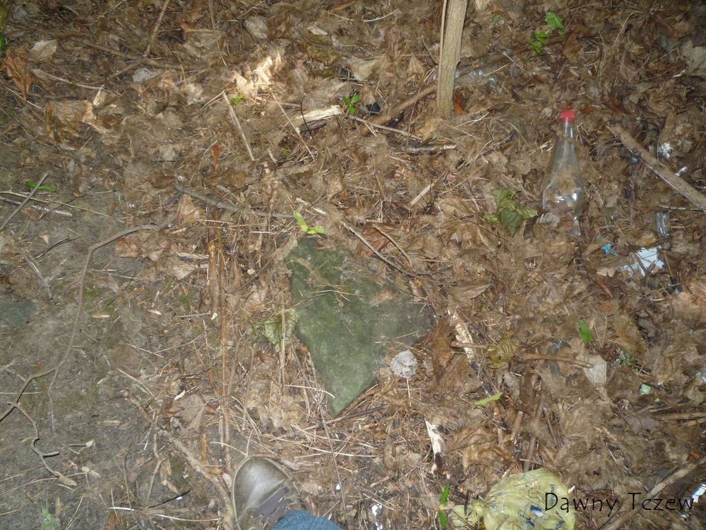 fragment 3.jpg
