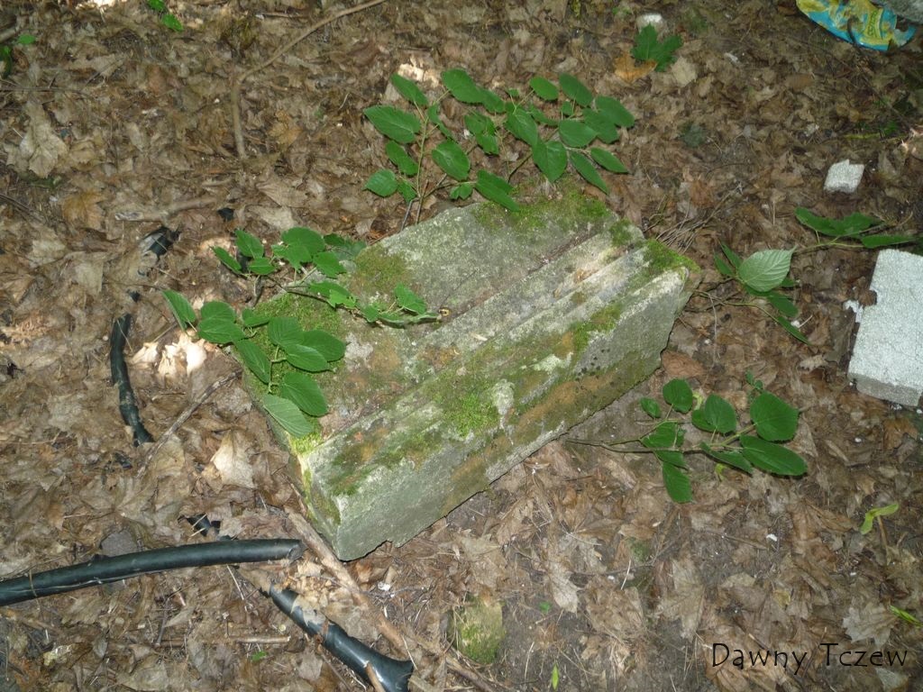 fragment 5.jpg