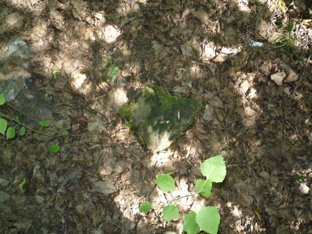 fragment 6.jpg