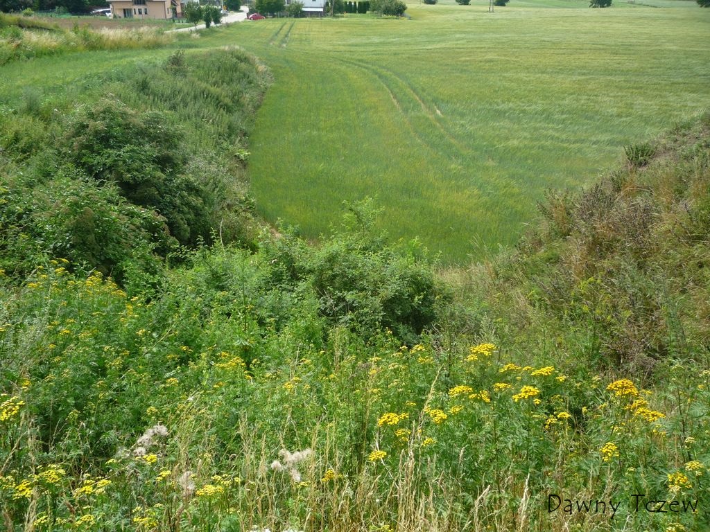 wlot tunelu.jpg