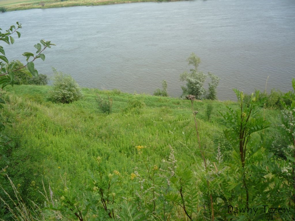 wylot.jpg
