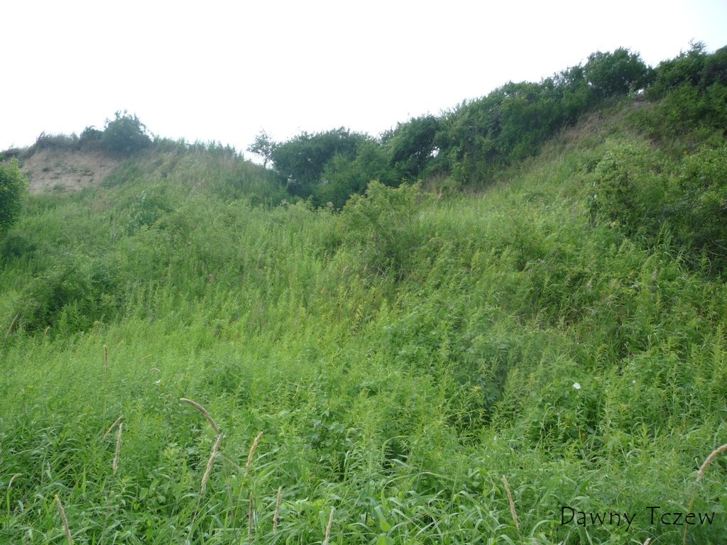 wylot 2.jpg