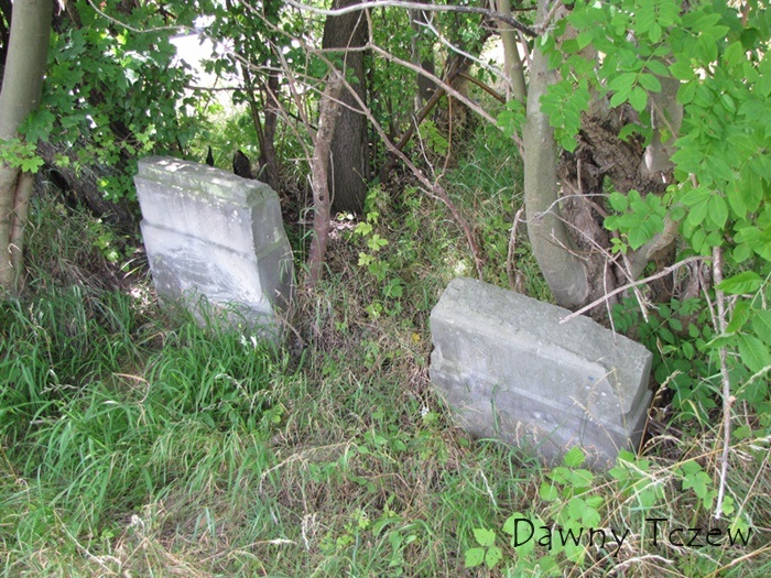macewy 1.jpg