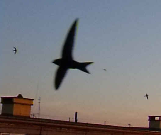 DSCF4760.jpg