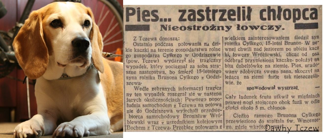 Echo, 07.11.1935 r..jpg