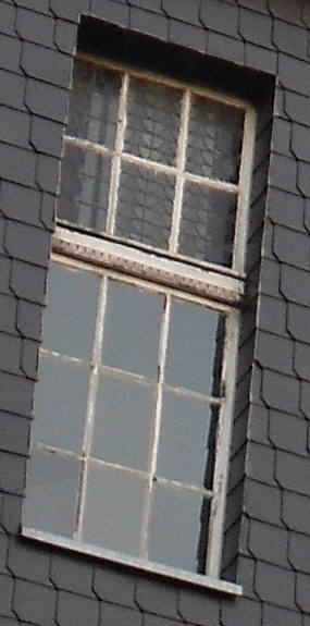 SDC11361.jpg