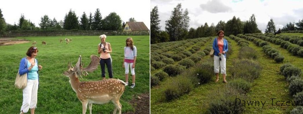 16_Kadzidlowo_Nowe Kawkowo.jpg