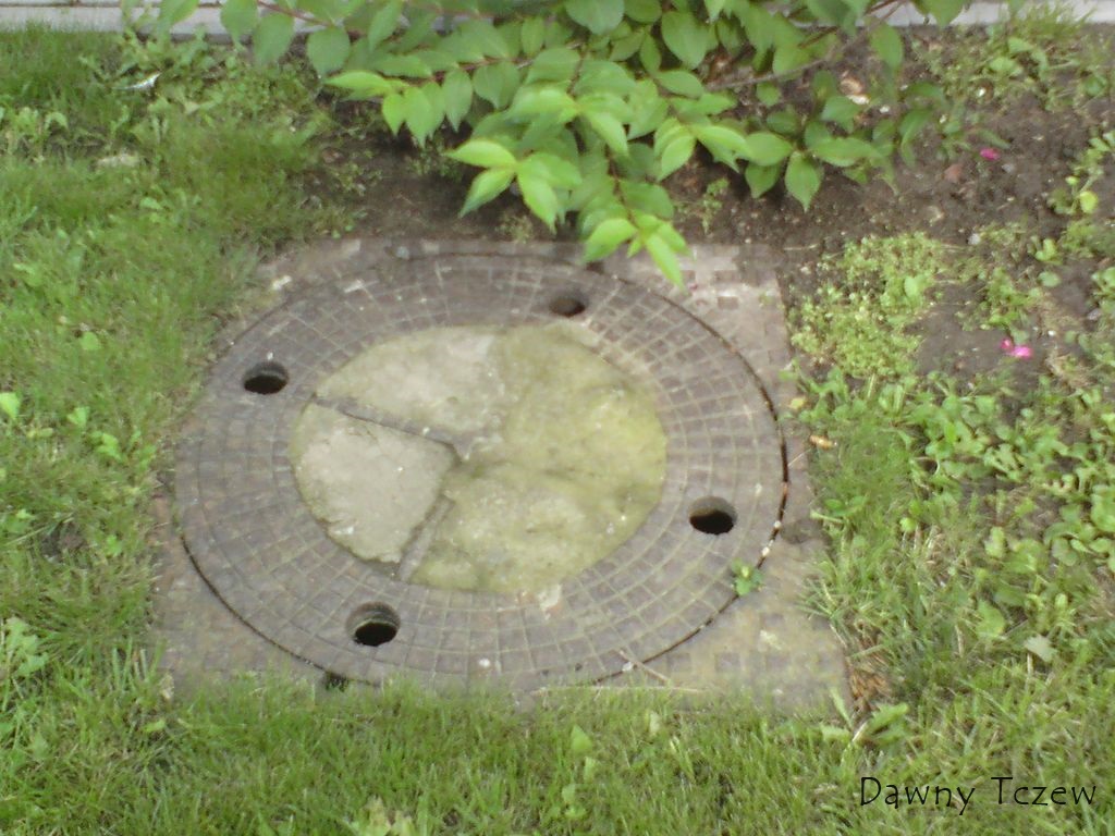 pasewalk.jpg