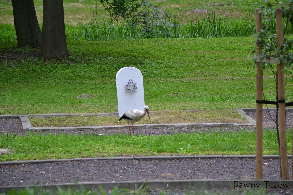 DSC_0535.JPG