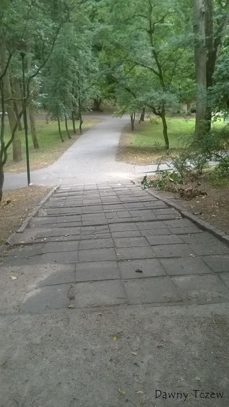 chodnik (2).jpg