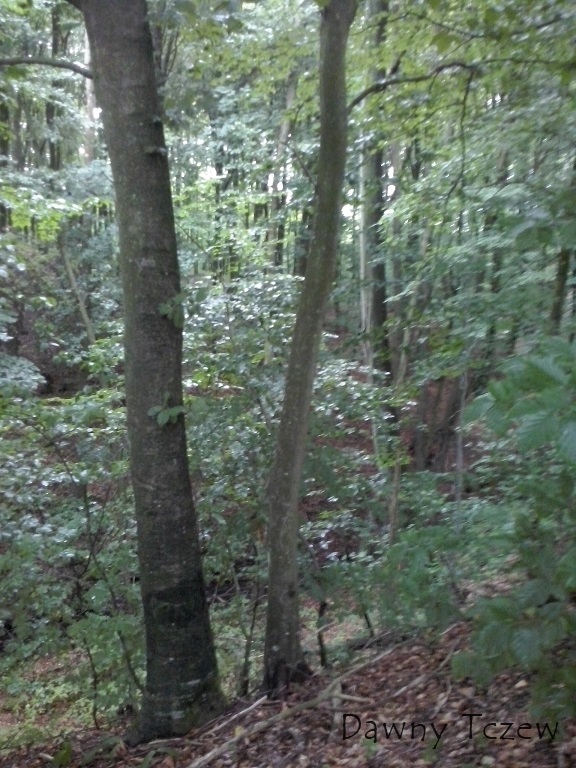 CAM00590.jpg