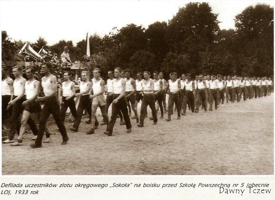 Sokół.jpg