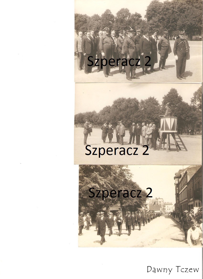 sokół5 001.jpg
