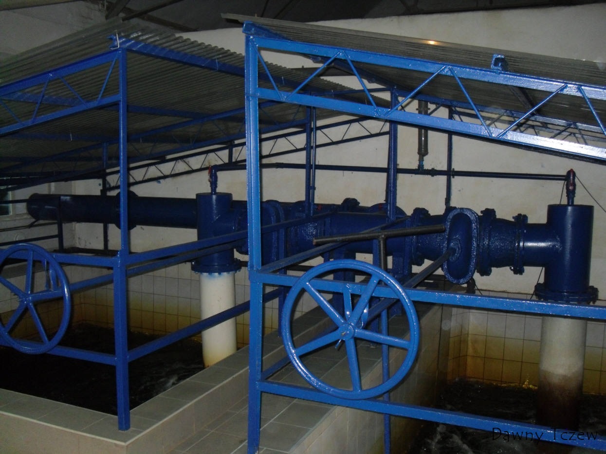 SDC11741.jpg