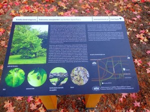 tablice (2).JPG