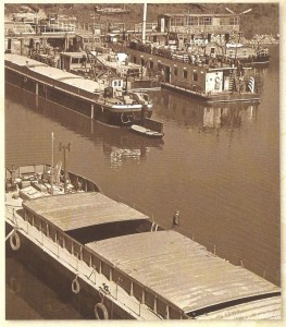 Golicki.jpg (829.45 KiB) Przejrzano 8946 razy "Album Tczewski. Fotografie po 1945 r.", cz. 1