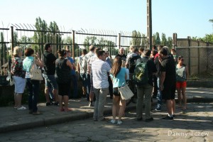 IMG_3809.jpg