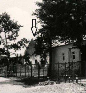 cieletnik_1.jpg (57.88 KiB) Przejrzano 9923 razy Fot. S. Zaczyńskiego: http://fotoalbum.mbp.tczew.pl/max.php?q=2424&z=Suchostrzygi&l=382