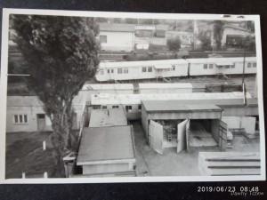 IMG-20190623-WA0011.jpg