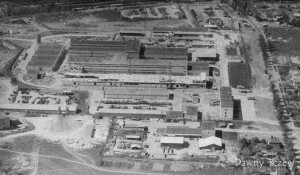 skan 05 fabryka mini.jpg