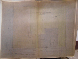 PB181539.JPG