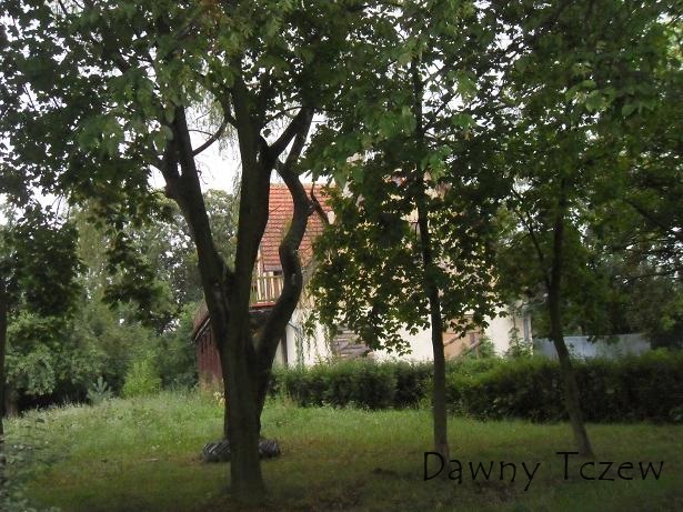 SDC17720.JPG
